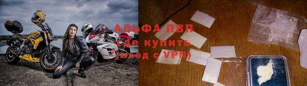 спайс Арсеньев