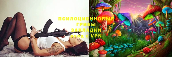 спайс Арсеньев